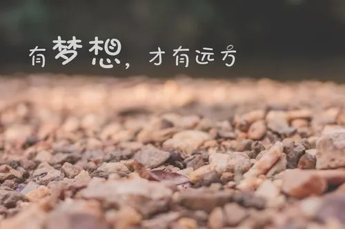 算法常规解答